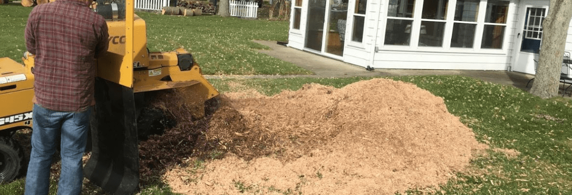 Your Guy Tree Service, LLC